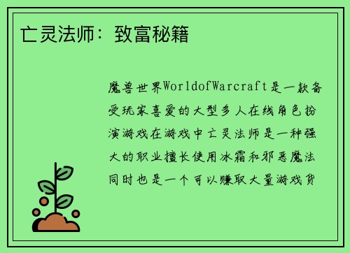 亡灵法师：致富秘籍